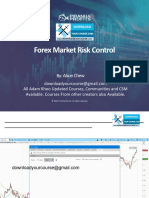 Forex Market Risk Control