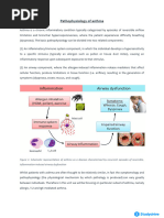 6pathophysiology of Asthma