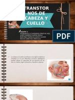 Copia de CABEZA Y CUELLO