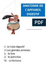 3-Anatomie Du L'appareil Digestif - Copie