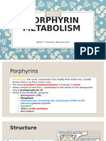 Heme Metabolism