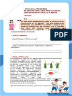 Ficha de Aprendizaje - 4to Grado