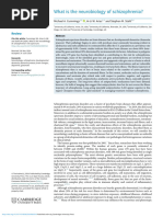 2024 What-Is-The-Neurobiology-Of-Schizophrenia