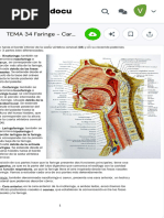 TEMA 34 Faringe - Carmen Montes - Warning TT Undefined Function 32 TEMA 34 FARINGE. 1. - Studocu