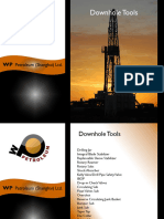 WP PETROLEUM (SHANGHAI) LTD Downhole Tools