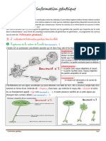 Information Génétique