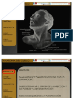 Presentacion Anatomia Del Cuello