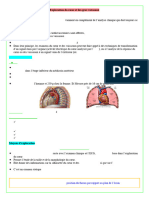 4 Exploration du cœur et des gros vaisseaux N.M