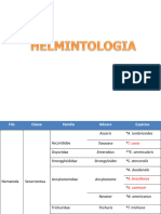 GEOHELMINTOS (1)