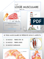 2.1 PhysiologieMusculaire (Support)