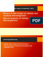 2Anatomy-of-Microorganisms.ppt