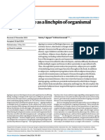 Adipose Tissue As A Linchpin of Organismal Ageing: Nature Metabolism