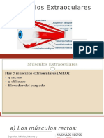 Musculos Extraoculares 6 de Optometria Iii