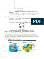 The Cell Theory: Unicellular Organisms Multicellular Organisms