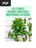 5 Plantes