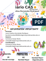 Muestra de Diario Cas