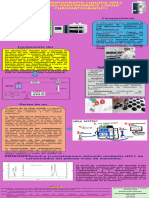 Infografia HPLC Roxana