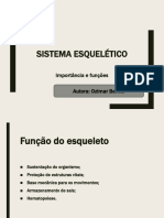 Sistema Esquelético