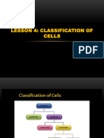 CLASSIFICATION OF CELL