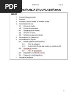 Tema 5.1 - Retículo Endoplasmático