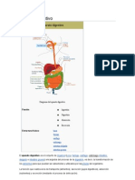 Aparato Digestivo