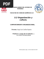 3.2 Organización y Cultura