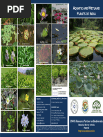 Pamplet - Aquatic and Wetland Plants of India