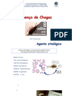 Chagas AIP 20242