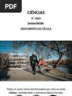 Ciências - 6ºano - Slides Aula Descoberta Da Célula