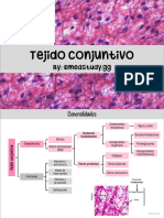 Tejido Conjuntivo