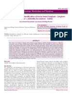 Molecular Genetic Identification of Some Sweet Sorghum Sorghum Bicolor L Ankolib Accessions Sudan