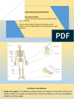 The Human Skeleton and Its Functions-1