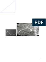 T tube and Surgical Cholangiography ERCP latest 