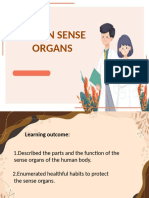 Human Sense Organs