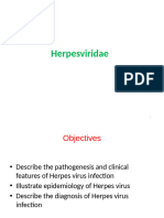 3.3. Herpes Virus