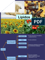 Lipid