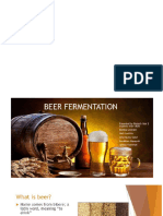 Beer Production