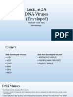 Lecture 2A DNA Viruses Env