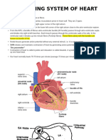 Conducting System of Heart