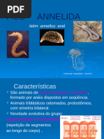 Moluscos-E-Anelideos - Zoologia