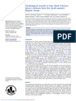 Cabanillas-Torpoco Et Al 2023 Teratological Records in Blue Shark Prionace Glauca Embryos From The South Western Atlantic Ocean