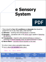 6) The Sensory System