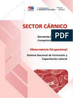 Sector CarnicoSinafocal Py