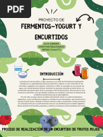 Proyecto Encurtido y Yogurt Natural