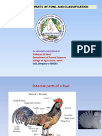 7. Breeds of Poultry and External Parts of Poultry