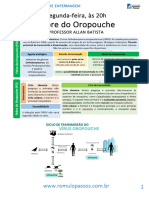 Febre Do Oropouche (Aula Atualizada)