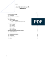 Apuntes Morfología - 2ºbach