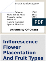 Plant Systematics