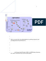 Plant Physiology Personal Notes. P.M - 091732