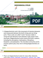 Biogeochemical Cycles
